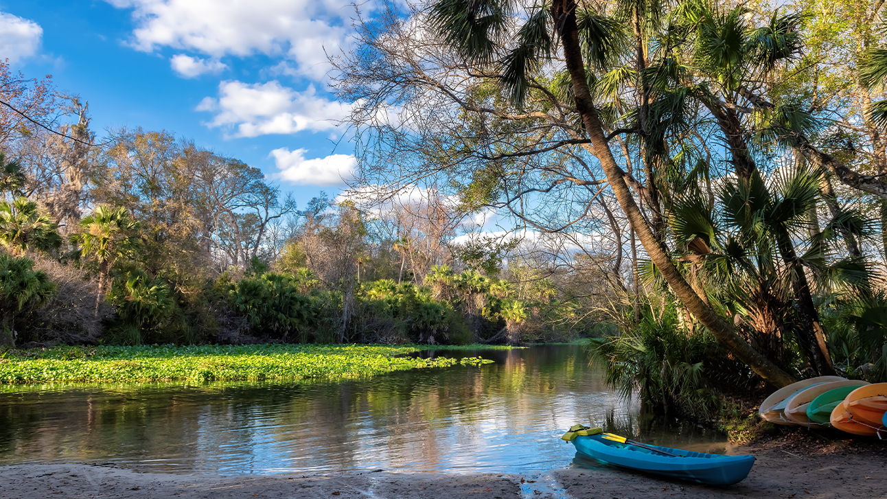 The 7 Best Natural Springs Near Orlando