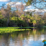 The 7 Best Natural Springs Near Orlando