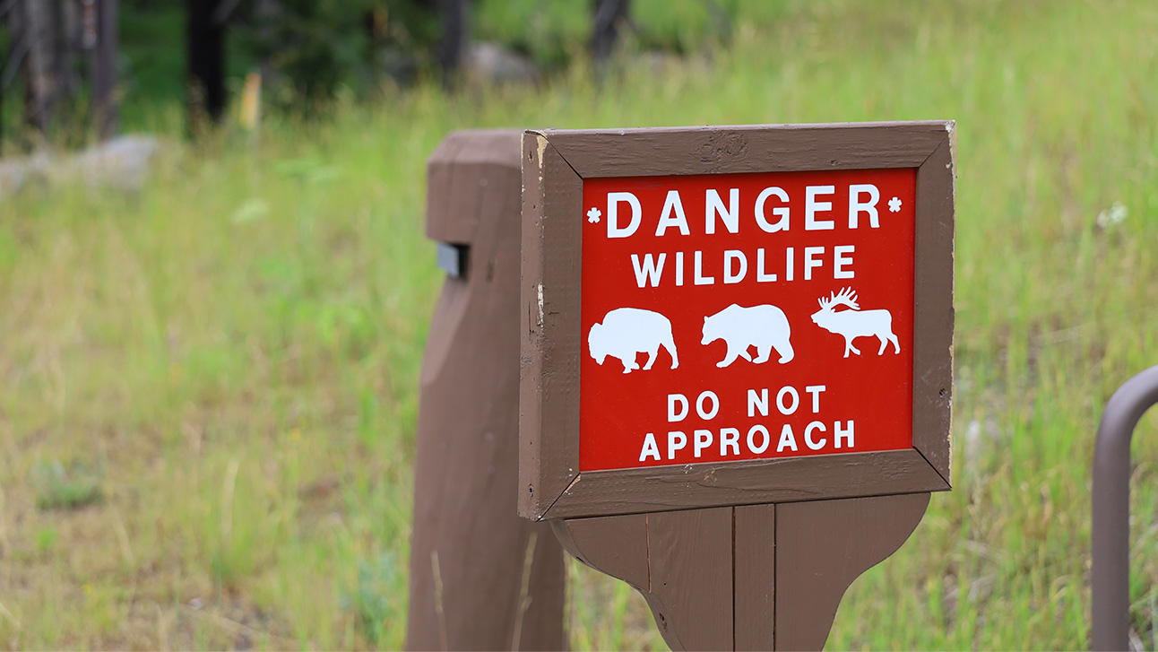 The Complete Guide to Wildlife Watching in Orlando 2026