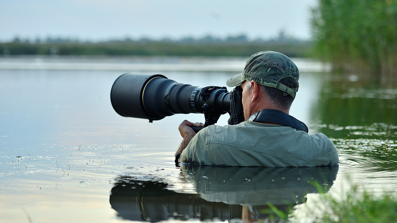The Complete Guide to Wildlife Watching in Orlando 2026
