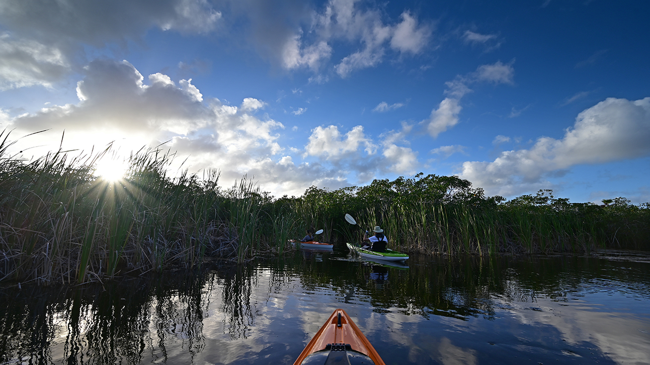 The Guide to the Best Rivers to Paddle in Florida