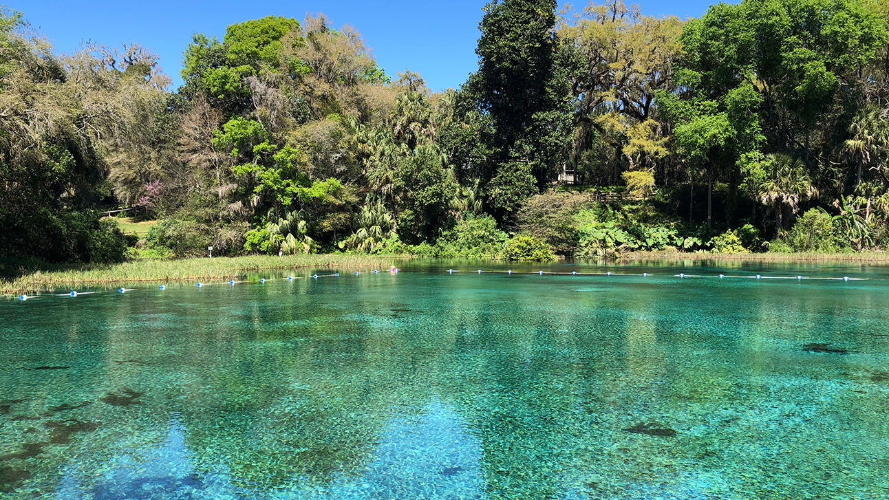 The Guide to the Best Rivers to Paddle in Florida