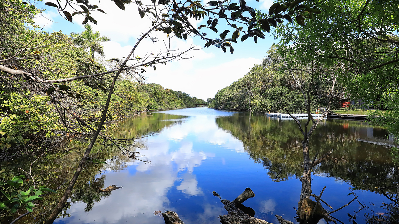 The Guide to the Best Rivers to Paddle in Florida