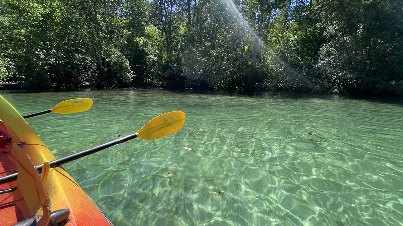 The Guide to the Best Rivers to Paddle in Florida