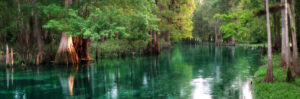 The Guide to the Best Rivers to Paddle in Florida